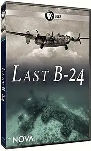 PBS NOVA: - Last B-24 (2018)