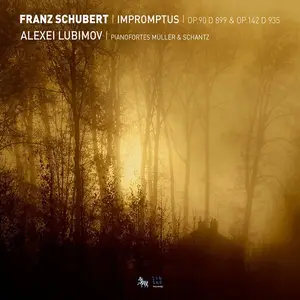 Alexei Lubimov - Franz Schubert: Impromptus (2010)