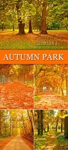 Stock Photo - Autumn Park