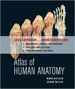 Atlas of Human Anatomy by Shawn D. Miller