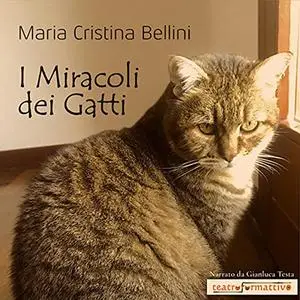 «I miracoli dei gatti» by Maria Cristina Bellini