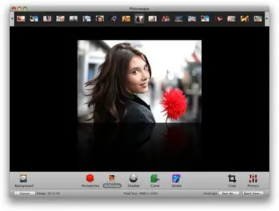 Picturesque 2.1.9