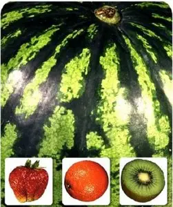 Stock Photo - Fruits