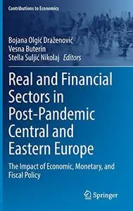 Real and Financial Sectors in Post-Pandemic Central and Eastern Europe: The Impact of Economic, Monetary, and Fiscal Policy
