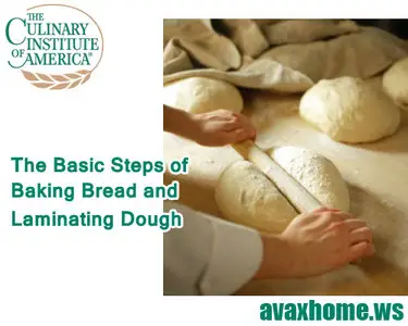 CIA - The Basic Steps of Baking Bread and Laminating Dough