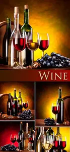 Stock Photo - Wine & Grapes