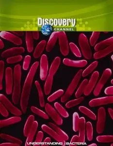 Discovery Channdel - Understanding: Bacteria