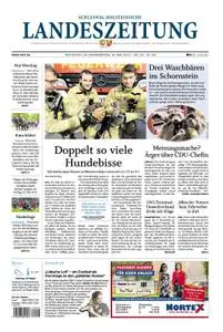 Schleswig-Holsteinische Landeszeitung - 29. Mai 2019