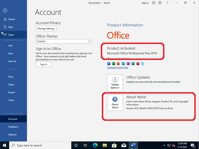 Windows 10 Pro 20H2 10.0.19042.746 (x86/x64) With Office 2019 Pro Plus Preactivated Multilingual January 2021