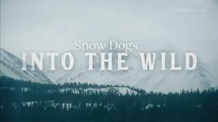 BBC - Snow Dogs: Into the Wild (2022)