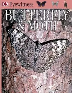 Butterfly & Moth [Repost]