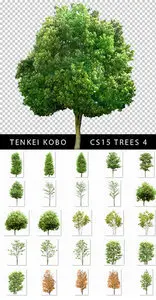 Tenkei Kobo Trees Textures - Cutoff Series