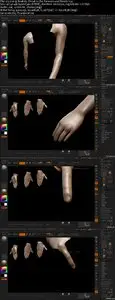 ZBrushworkshops - Fundamentals Of Anatomy Arm And Leg