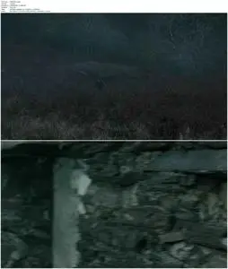 Island (2011)