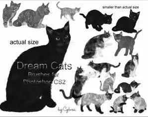 Dream Cats brushes for Photoshop