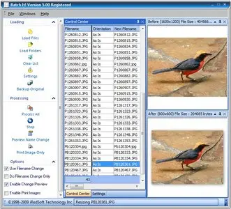 AutoBatch It! 2.17.0.763