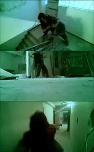 Dragonwolf (2013)