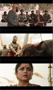 Bahubali: The Beginning (2015)
