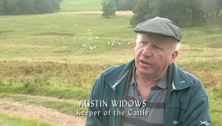 Before Scotland: The Story of Scotland Before History (2009)