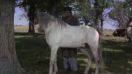 The Horsemen (1971)