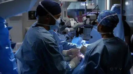 Grey's Anatomy S14E14