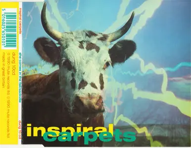Inspiral Carpets - She Comes In The Fall / Sackville [Mute DUNG 10 CD] {UK 1990}