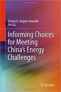 Informing Choices for Meeting China's Energy Challenges