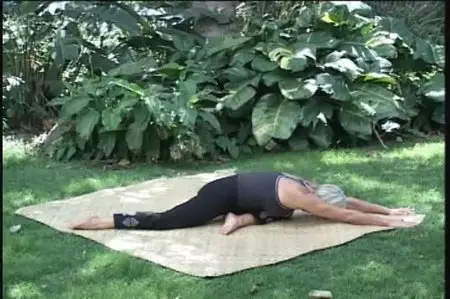 Yoga for Surfers DVD 3-Pack [repost]