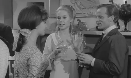 The Pleasure Girls (1965) 