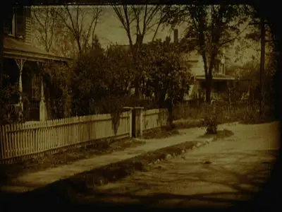 Way Down East (1920)
