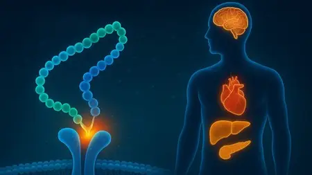 Glp-1 & Gip Drugs:Ozempic, Wegovy-Obesity & Diabetes Therapy