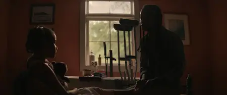 The Woman in the Yard (2025)