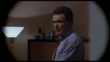F/X2 (1991)