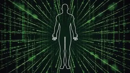 The Science Of Biohacking: Optimize Your Body & Mind Basics