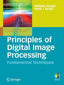 Principles of Digital Image Processing: Fundamental Techniques (Repost)