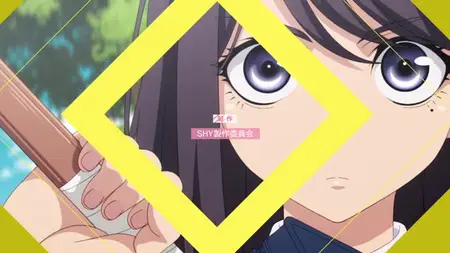 SHY S01E17 XviD-AFG