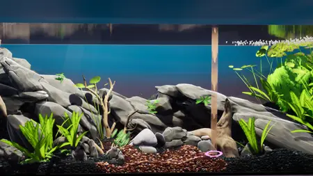 Fish Game Substrate Variety Pack 1 (2025)