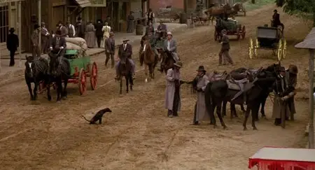 The Long Riders (1980)