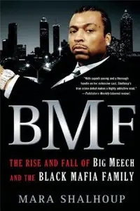 BMF: The Rise and Fall of Big Meech and the Black Mafia Family (repost)