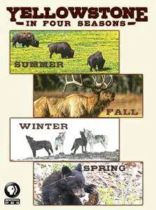 PBS - Yellowstone in Four Seasons (2017)