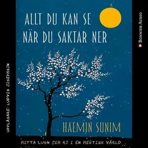 «Allt du kan se när du saktar ner : Hitta lugn och ro i en hektisk värld» by Haemin Sunim