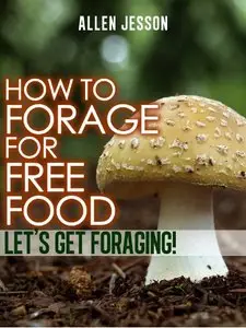 How To Forage For Free Food - Let's Get Foraging