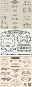 Vectors - Ornamental Vintage Elements 4