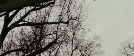 Premonition (2007)