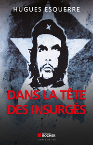 Dans la tête des insurgés - Hugues Esquerre