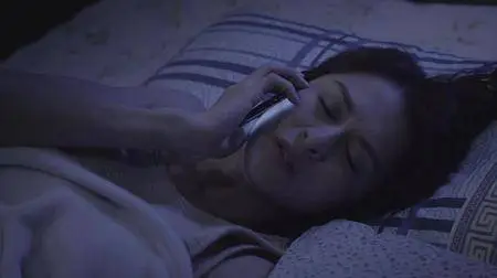 My Lady Boss (2013)