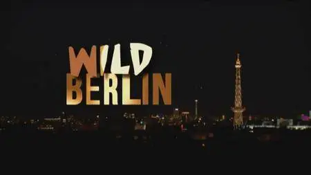 ZDF - Wild Berlin (2012)