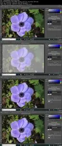 Photoshop CC para principiantes: Curso Adobe Photoshop