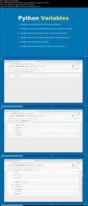 Coding for beginners with Python (Updated 7/2020)