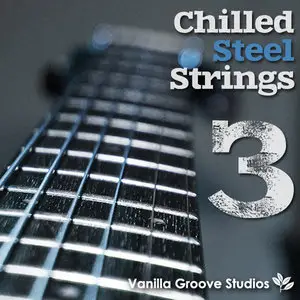 Vanilla Groove Studios Chilled Steel Strings Vol 3 WAV AIFF